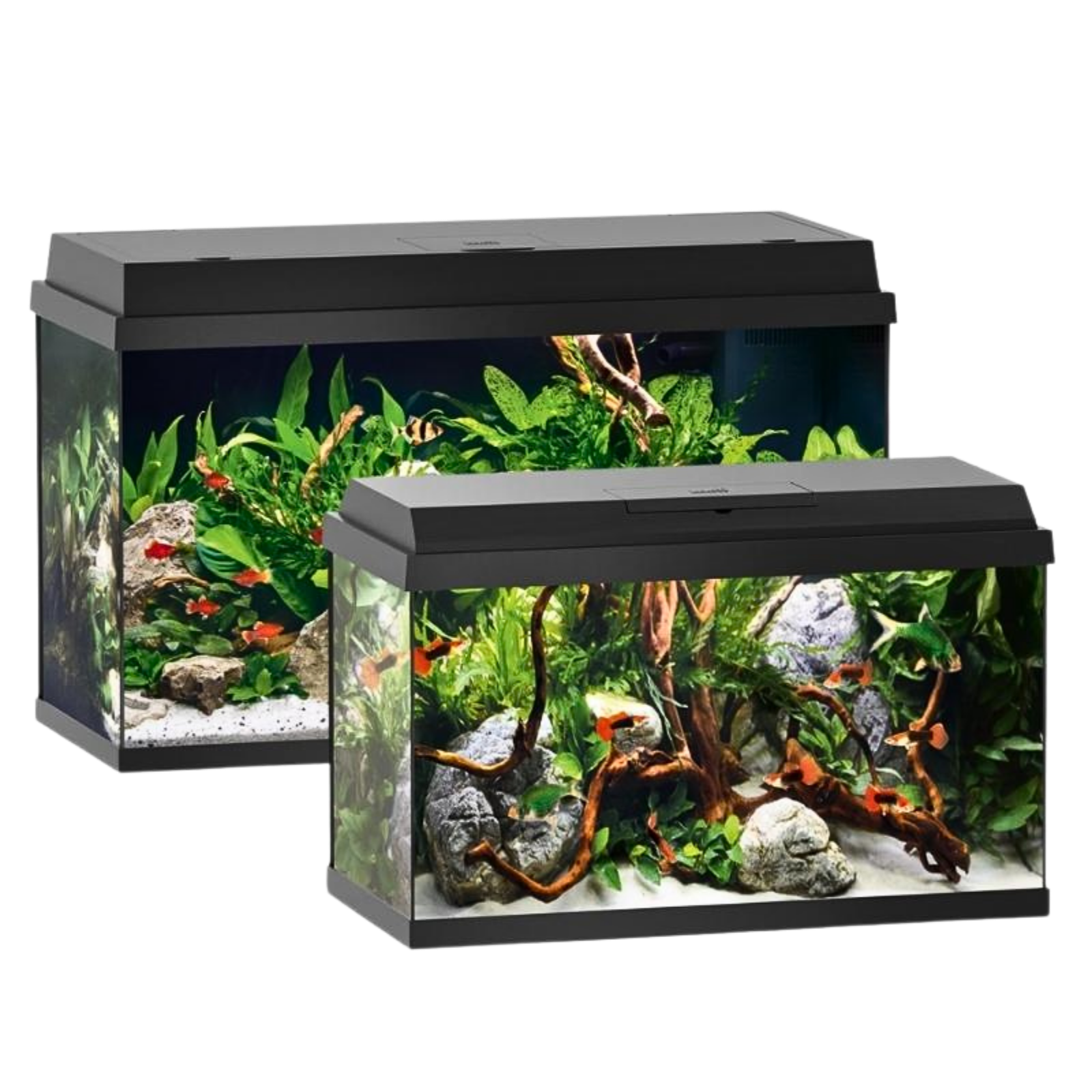 Aquarium Set