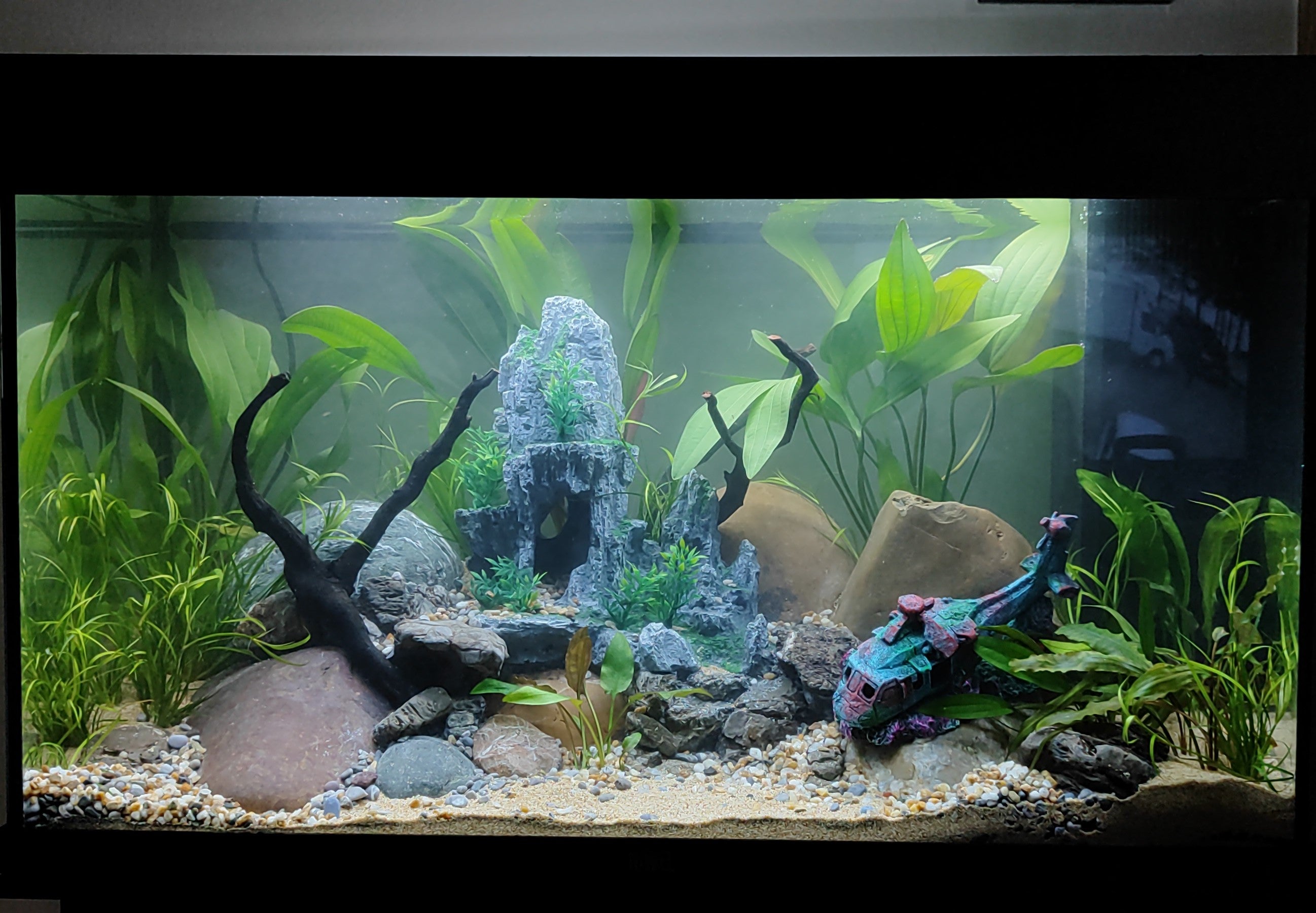 We Create an AQUASCAPE Tank for you