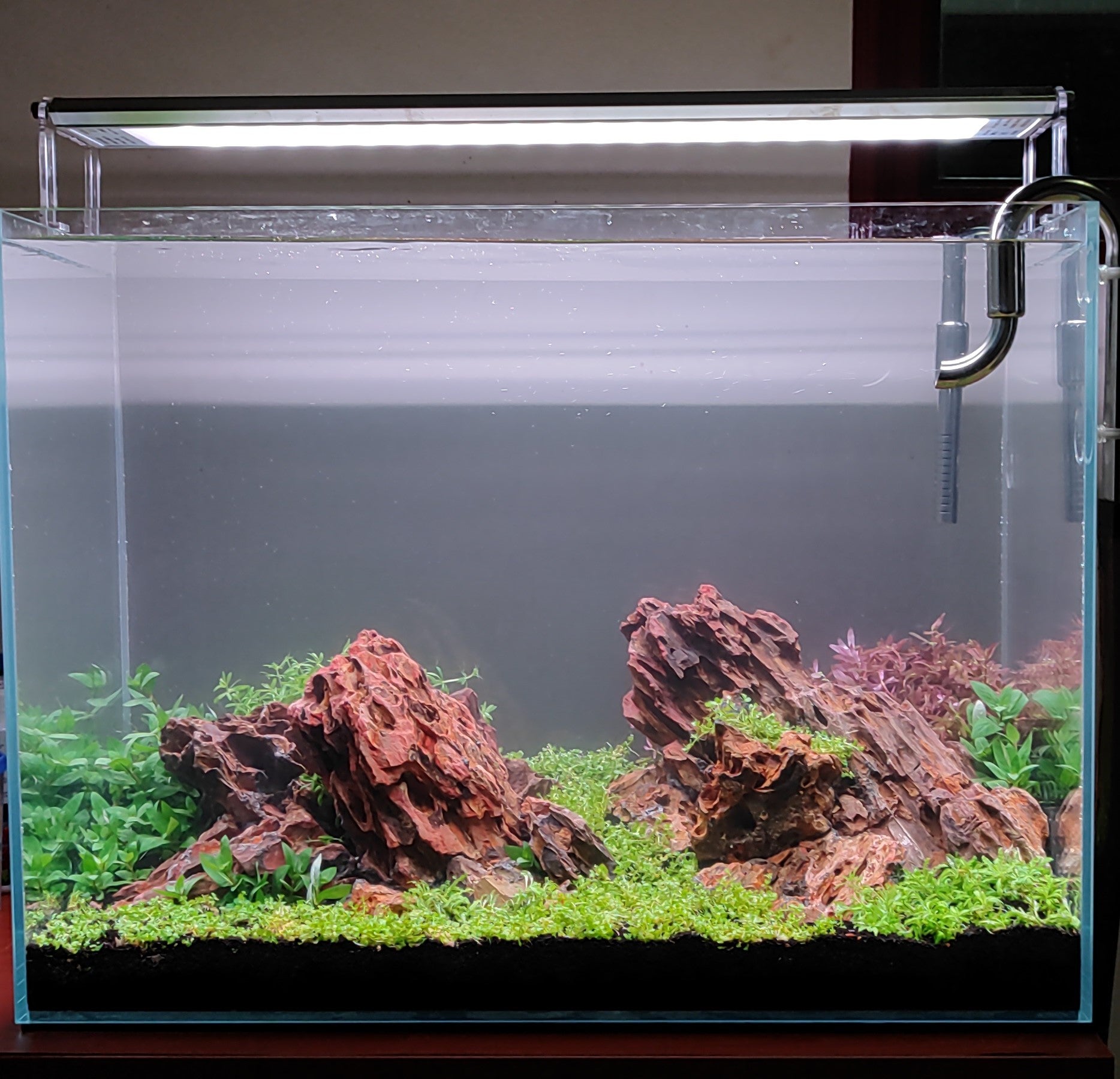 We Create an AQUASCAPE Tank for you