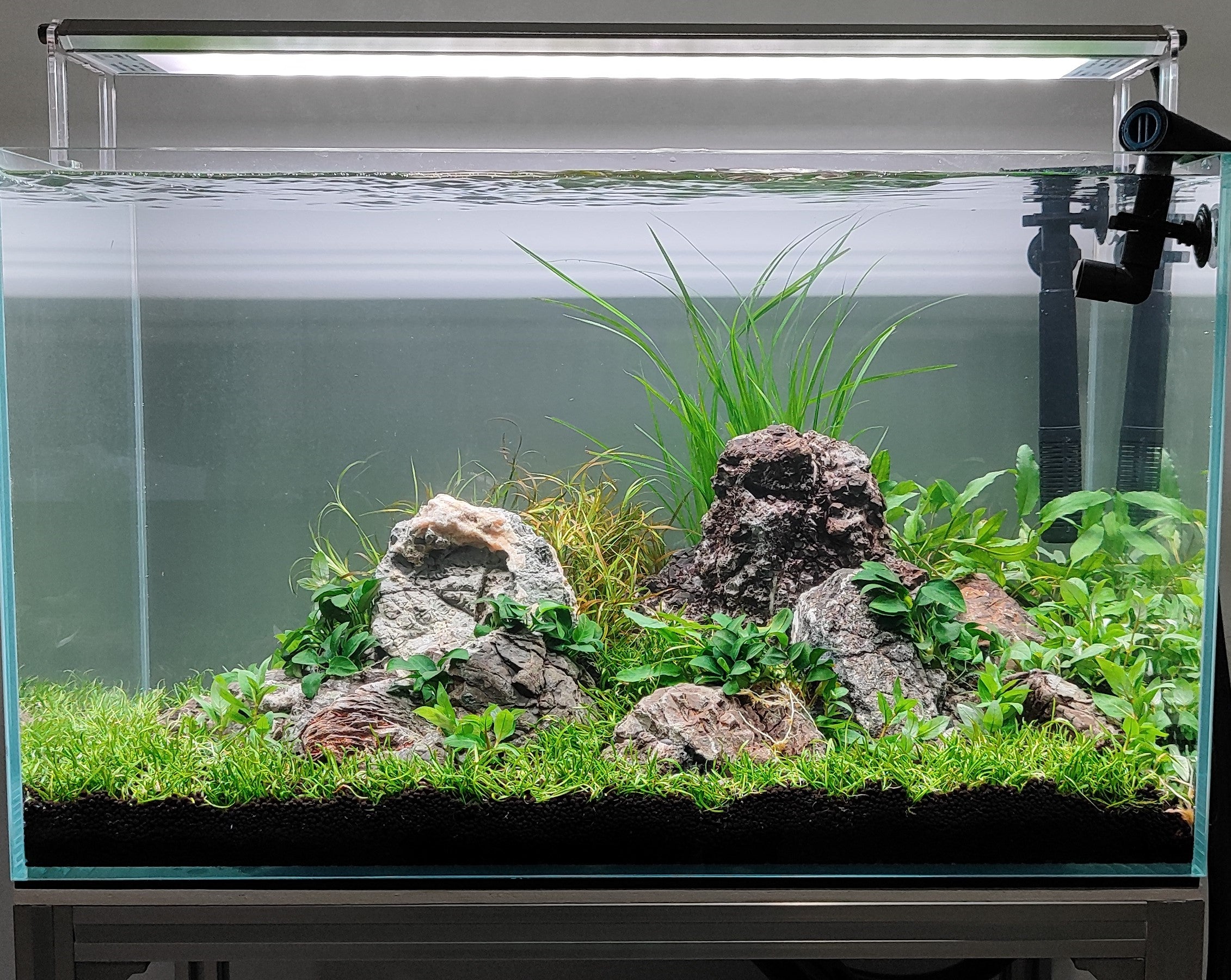 We Create an AQUASCAPE Tank for you