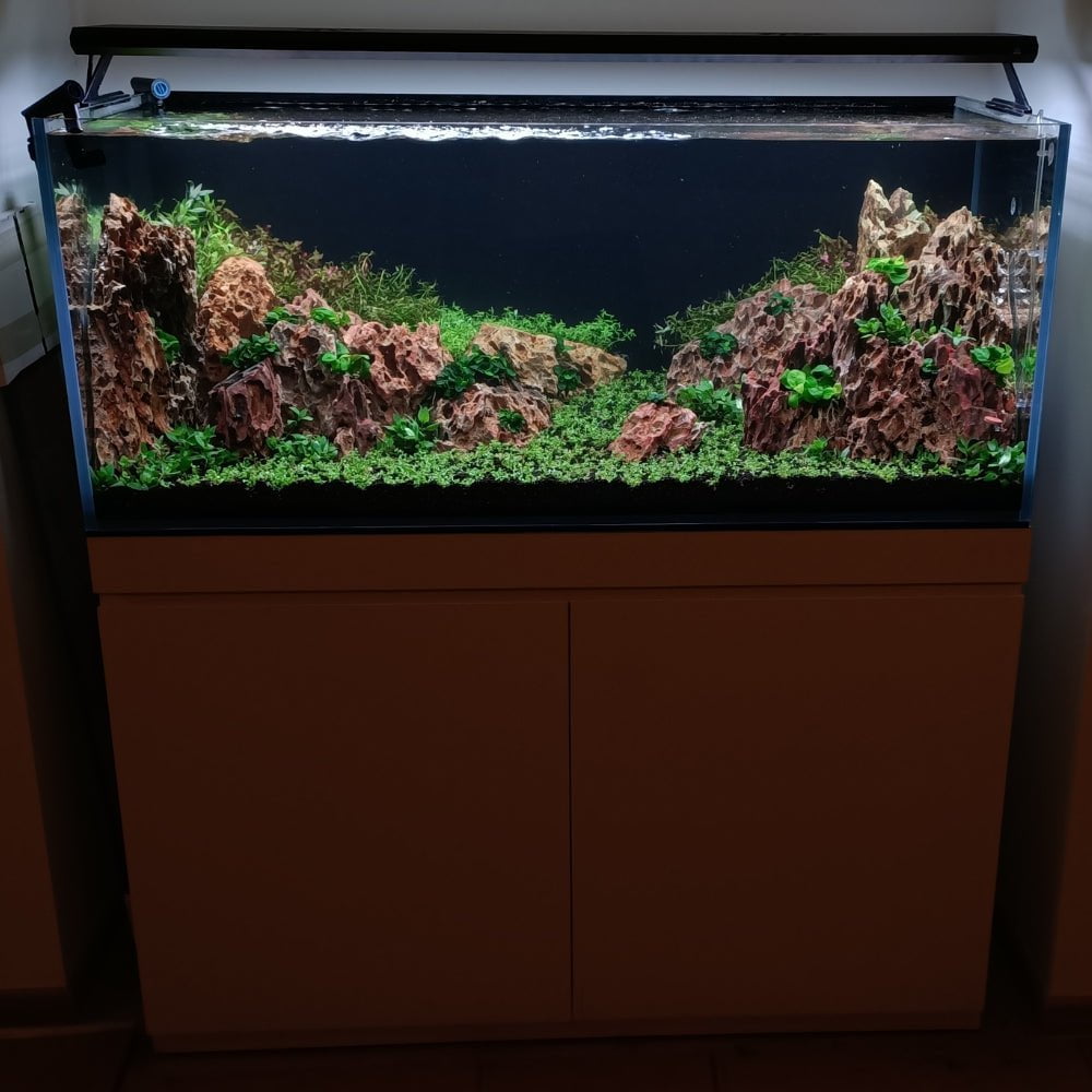 We Create an AQUASCAPE Tank for you