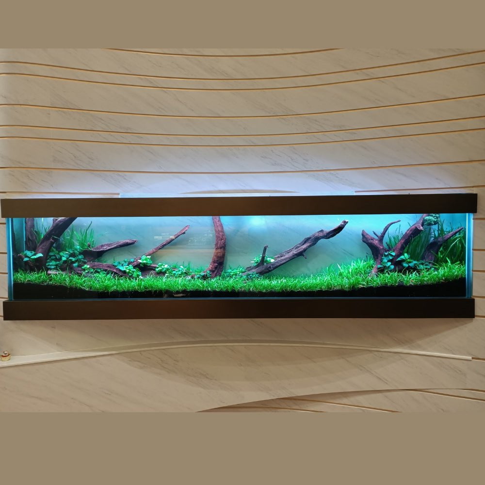 We Create an AQUASCAPE Tank for you
