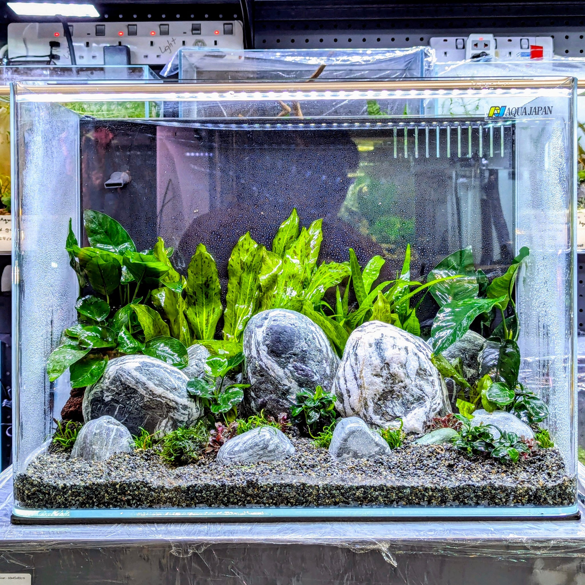 Low Maintenance Setup Service - Stone Garden