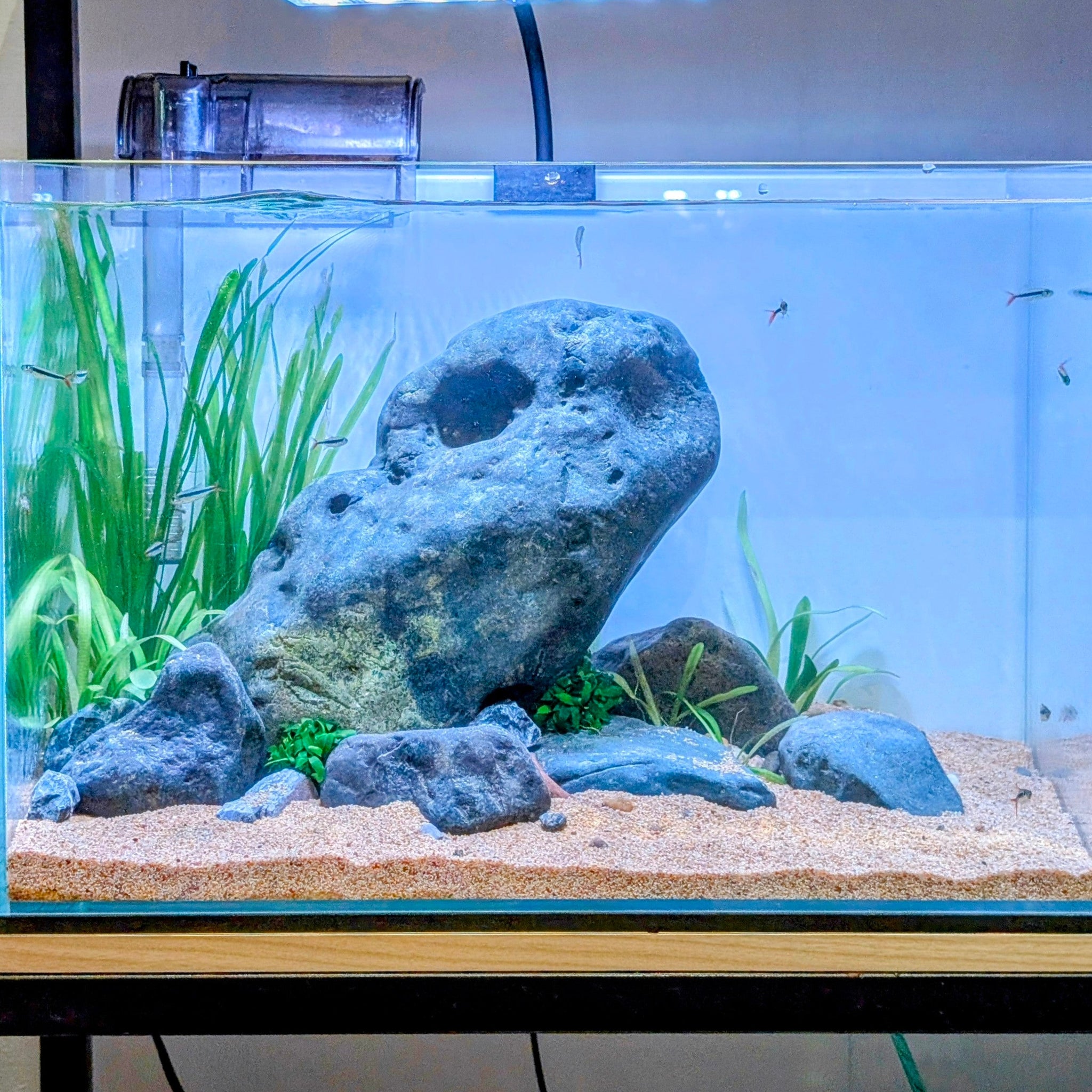 Low Maintenance Setup Service - Stone Garden