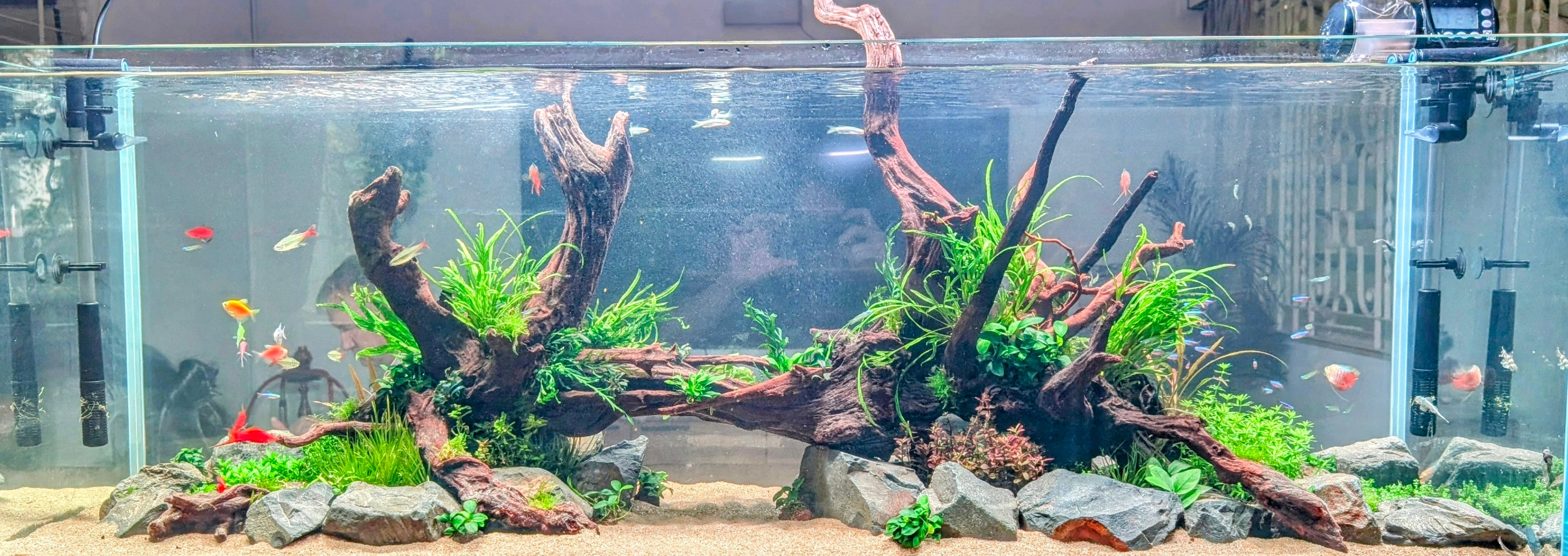 We Create an AQUASCAPE Tank for you