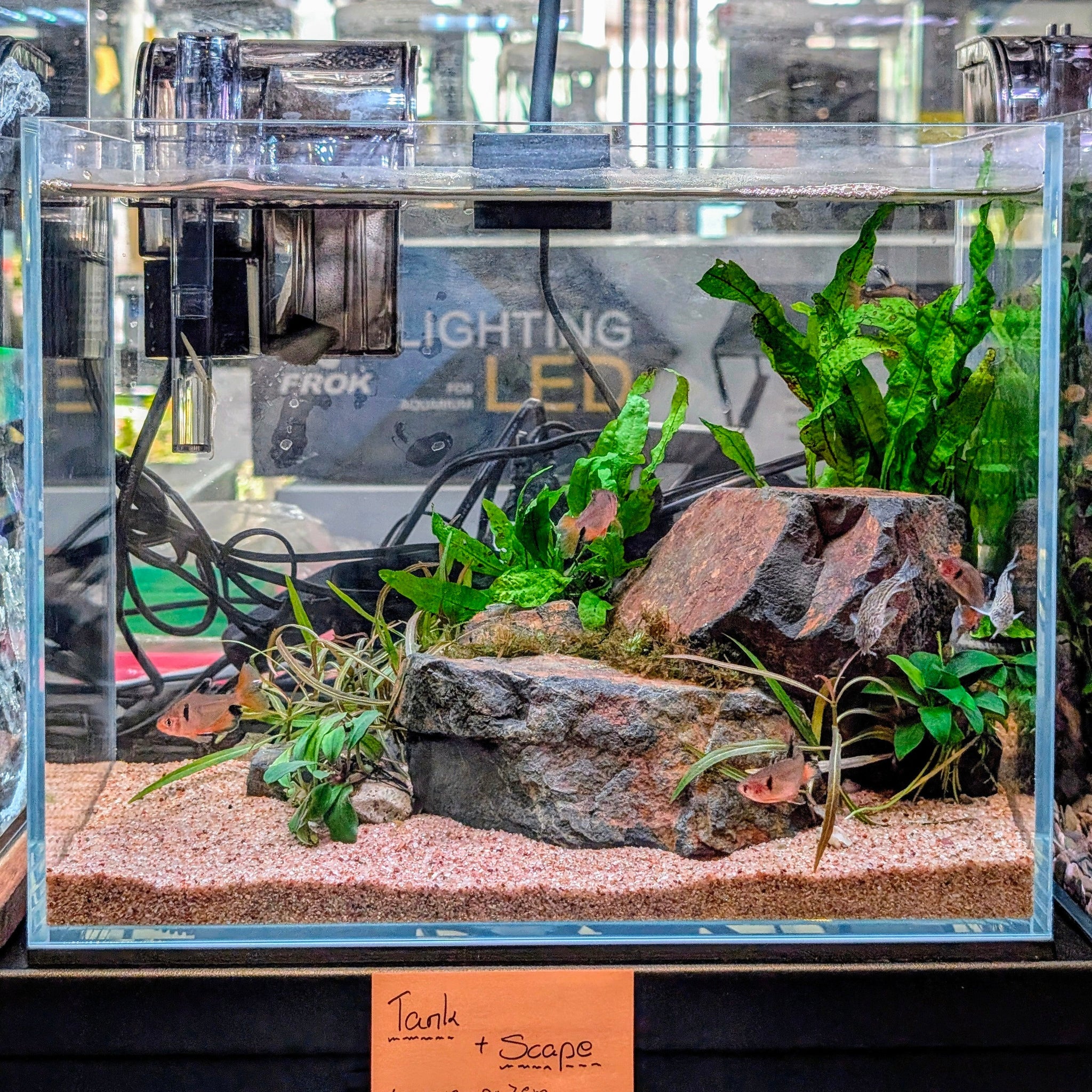 Low Maintenance Setup Service - Stone Garden