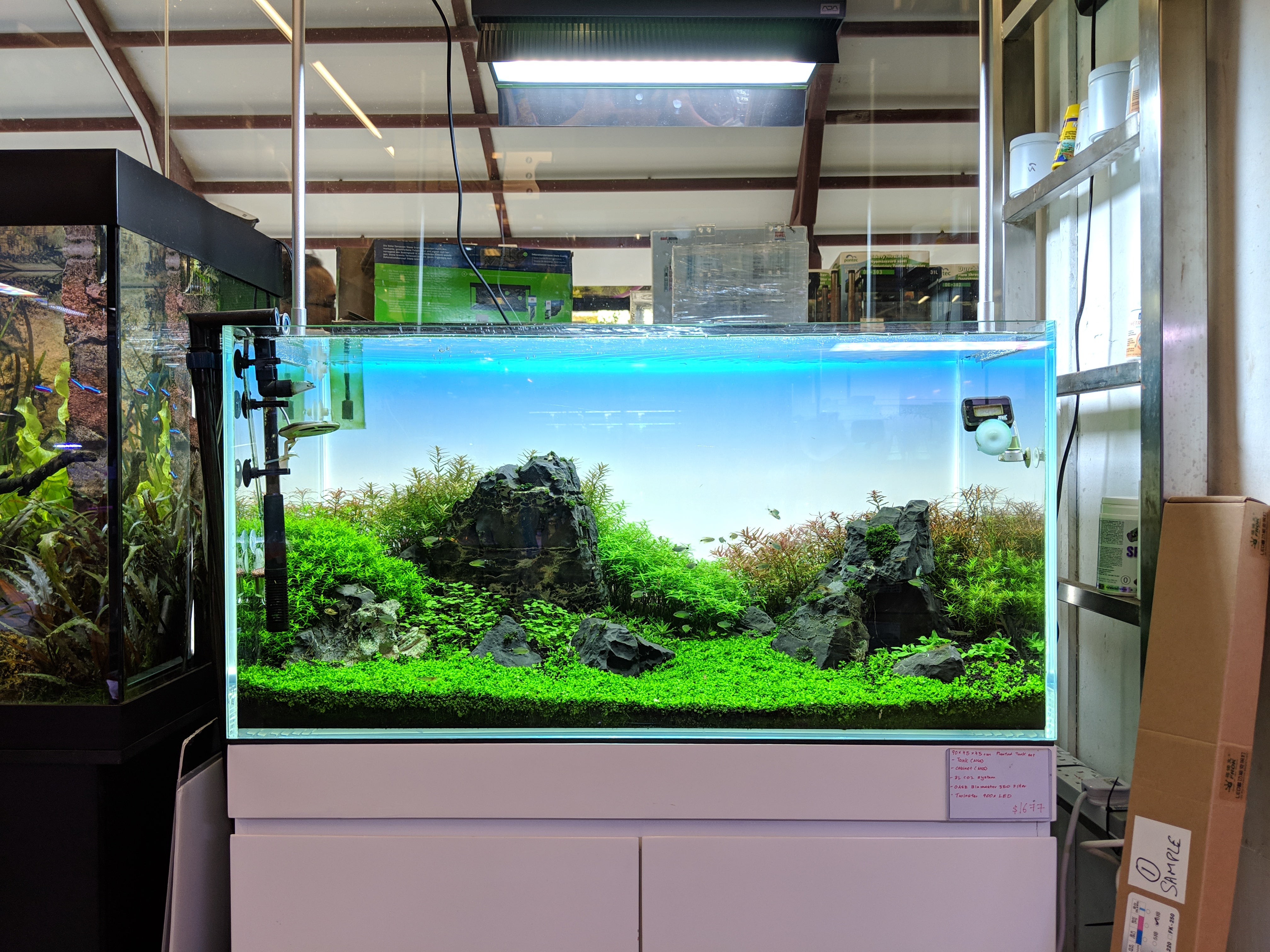 We Create an AQUASCAPE Tank for you