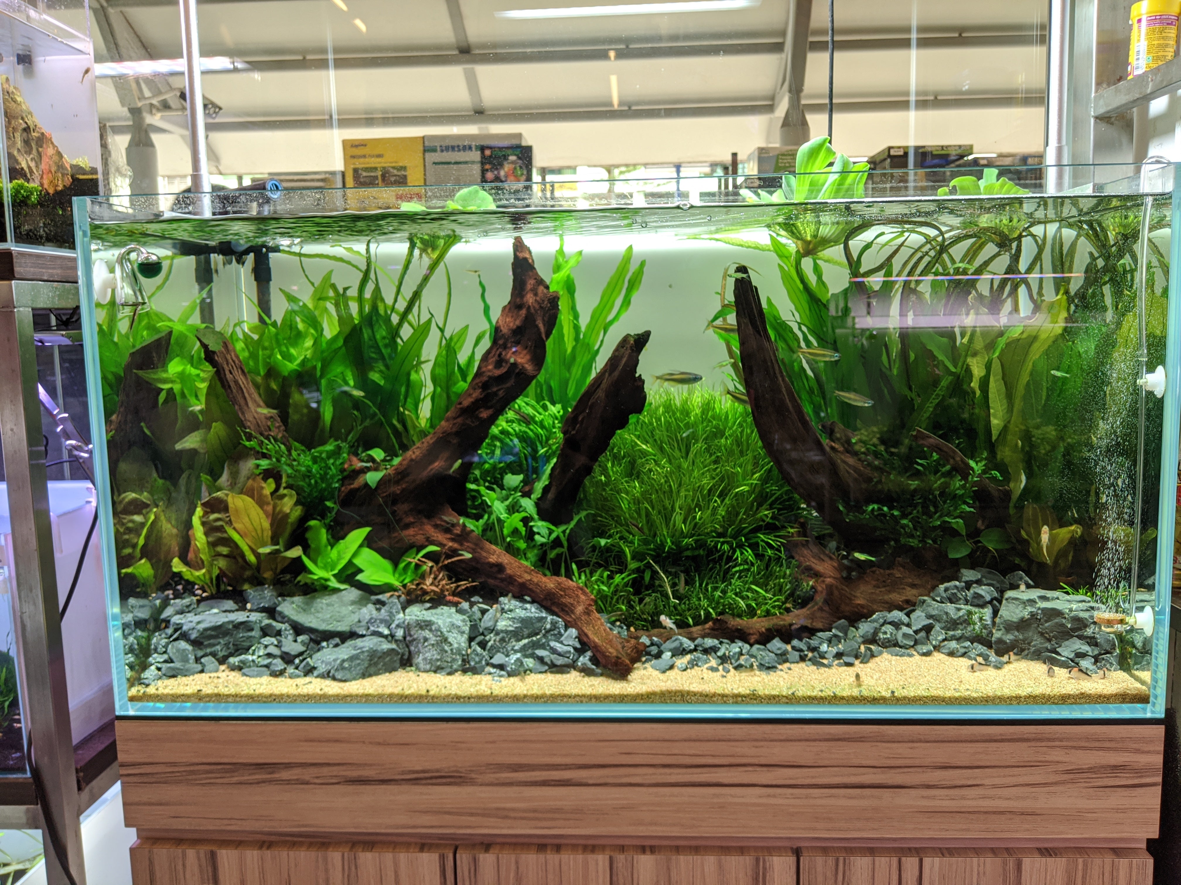 We Create an AQUASCAPE Tank for you