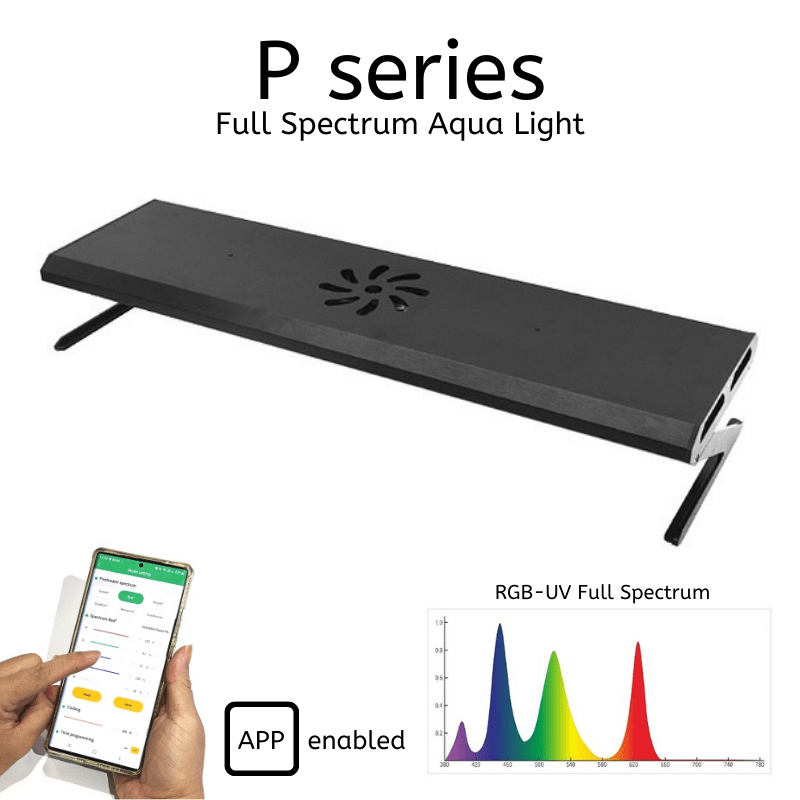 Week Aqua P - Series Pro LED light (60cm - 120cm) — East Ocean 