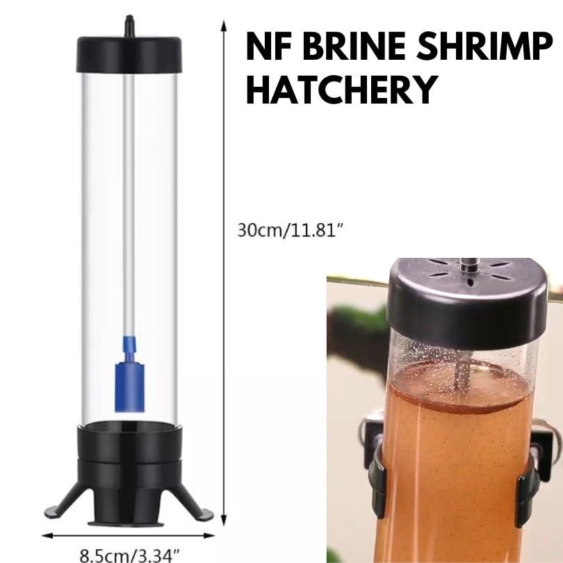 compresseur pompe air batterie aquarium crevette shrimproom fishroom