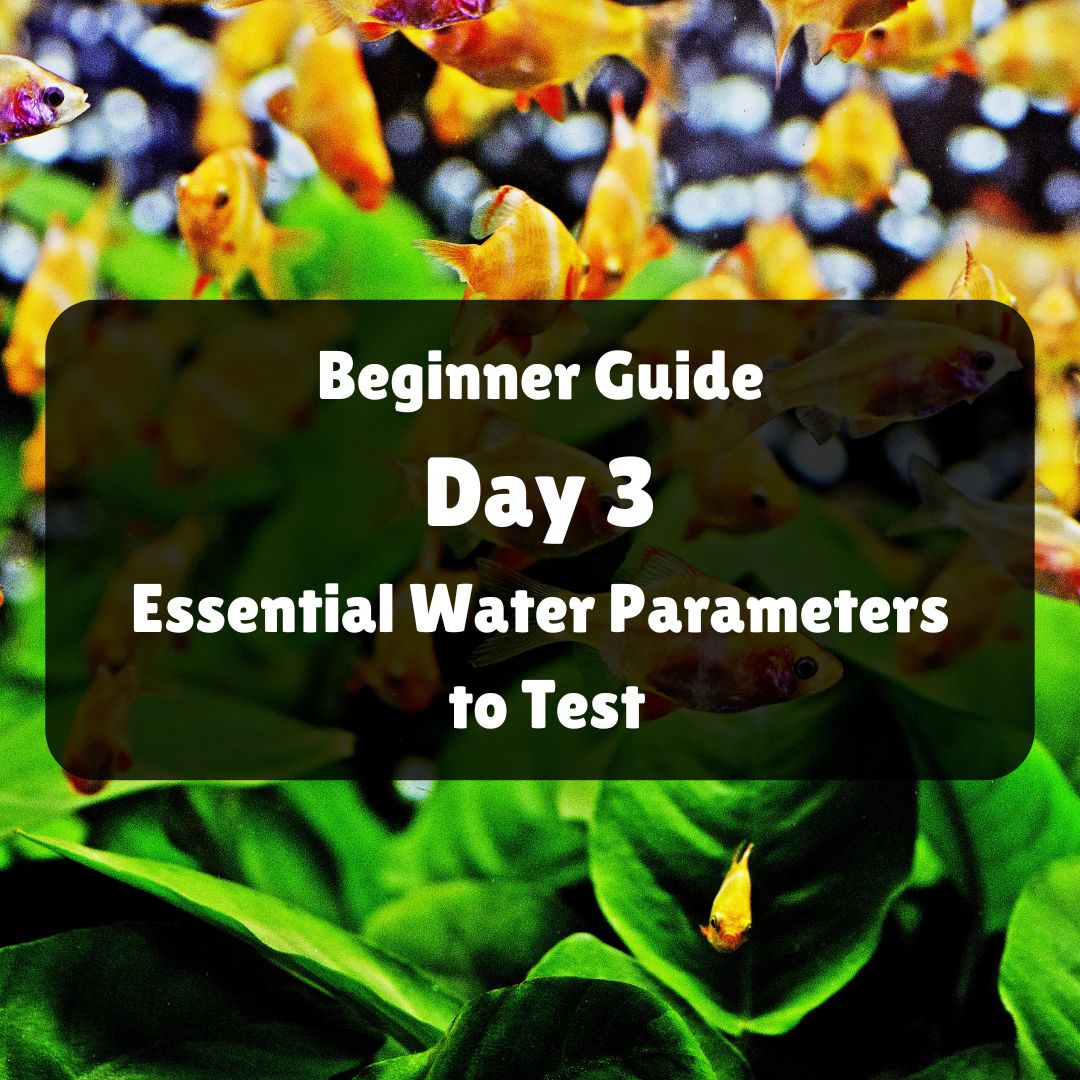 Beginner Help Guide Day 3: Essential Water Parameters to Test — East ...