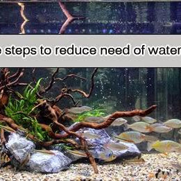 4 SIMPLE STEPS TO REDUCE THE NEED OF WATER CHANGE FOR YOUR AQUARIUM - East Ocean Aquatic
