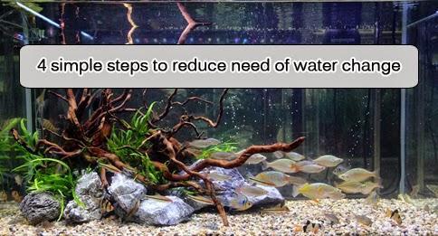 4 SIMPLE STEPS TO REDUCE THE NEED OF WATER CHANGE FOR YOUR AQUARIUM ...