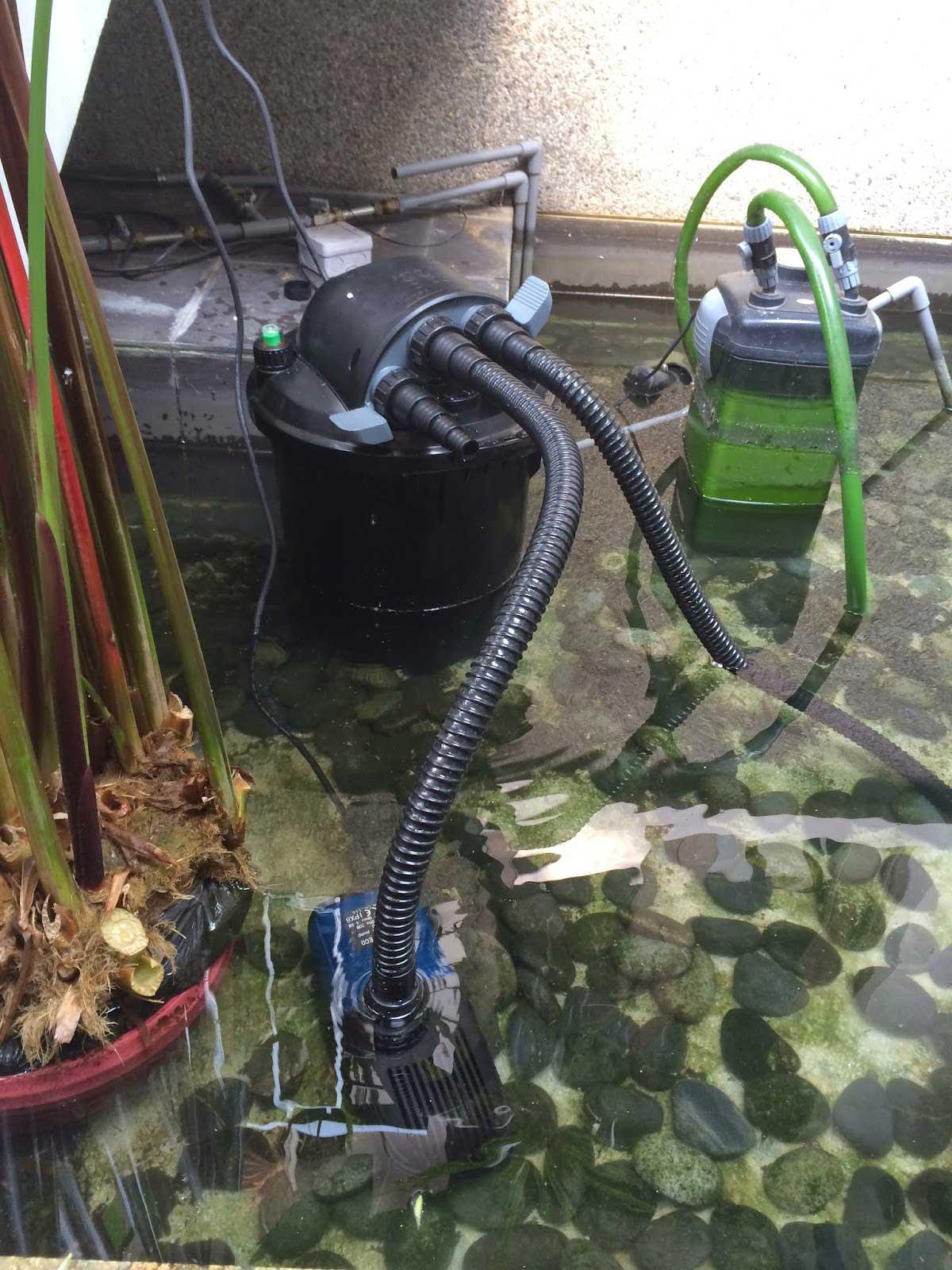 Solving a customer pond problem (part 1) - East Ocean Aquatic