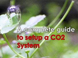 A COMPLETE GUIDE TO SETUP A CO2 SYSTEM - East Ocean Aquatic