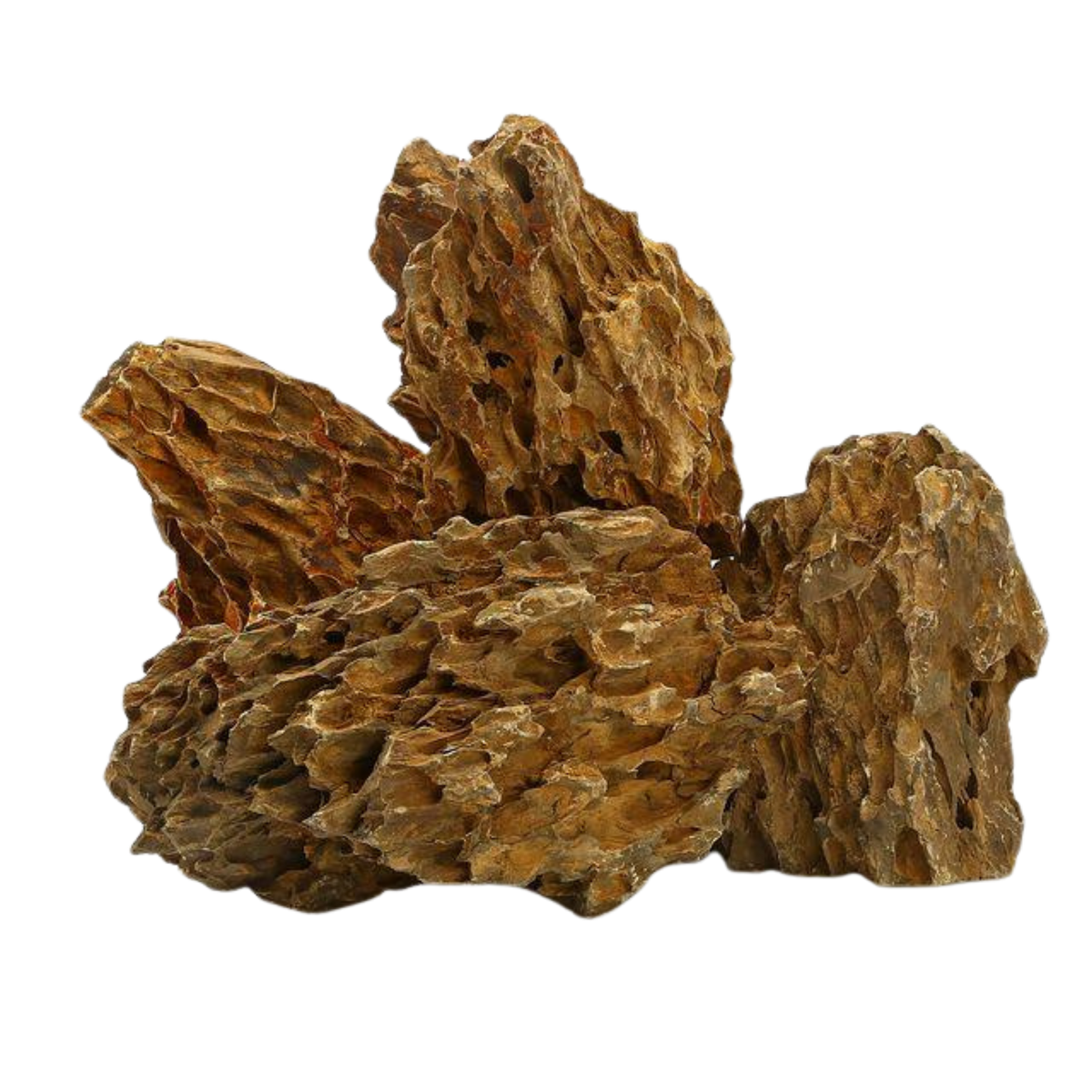 Buy Aquarium Rocks Online in Singapore | Fish Tank Rocks in Singapore ...