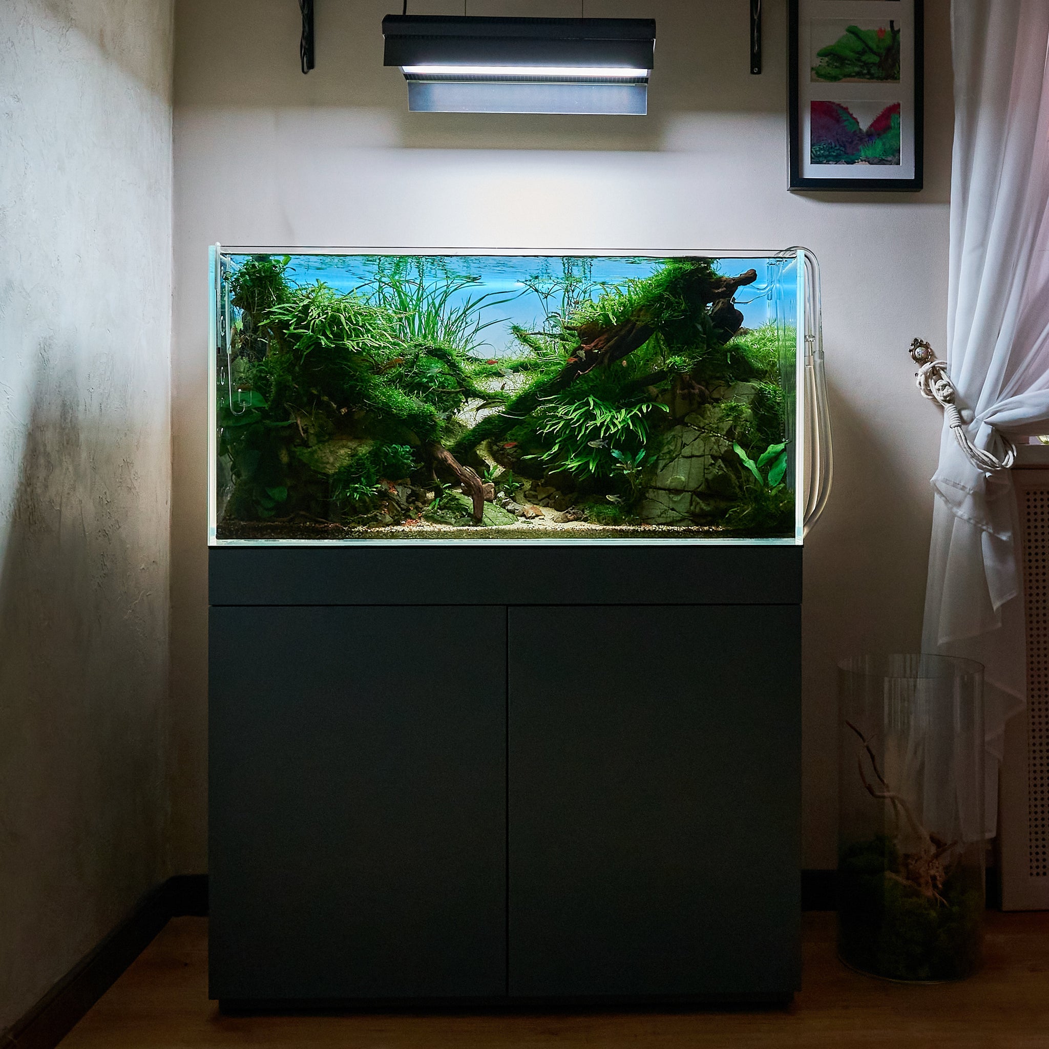 Tank & Cabinet