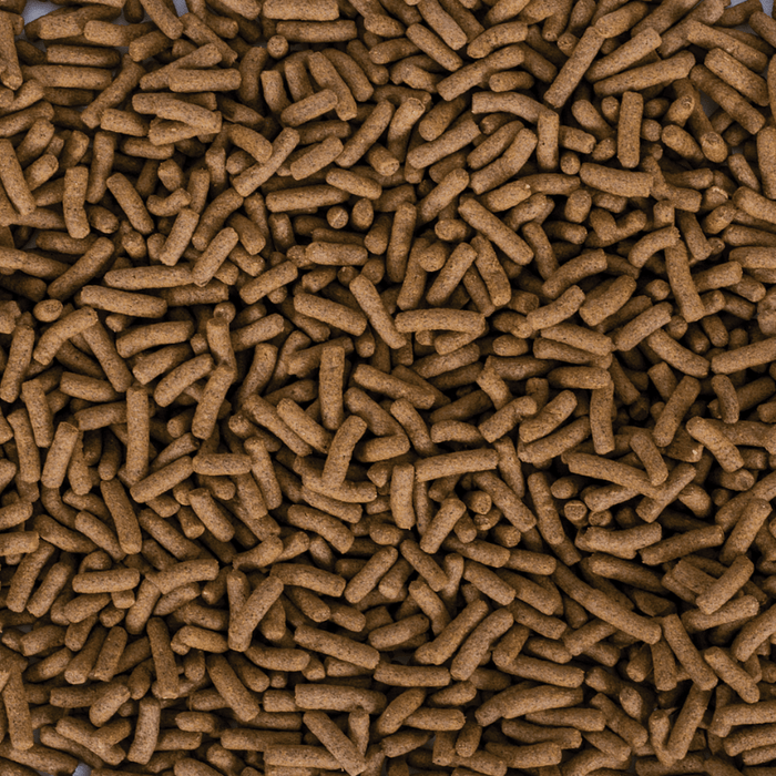 Tropical Biorept Supreme Adult (Premium turtle feed)