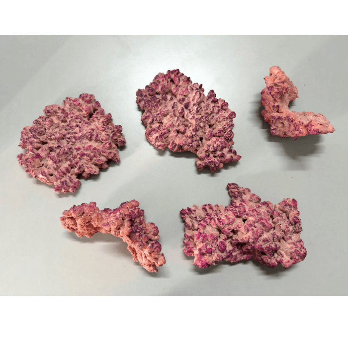 Aquaforest Nano Rock 3.5kg