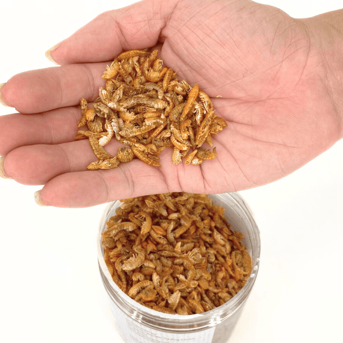 Nature Grains! Gammarus (550/2600ml)
