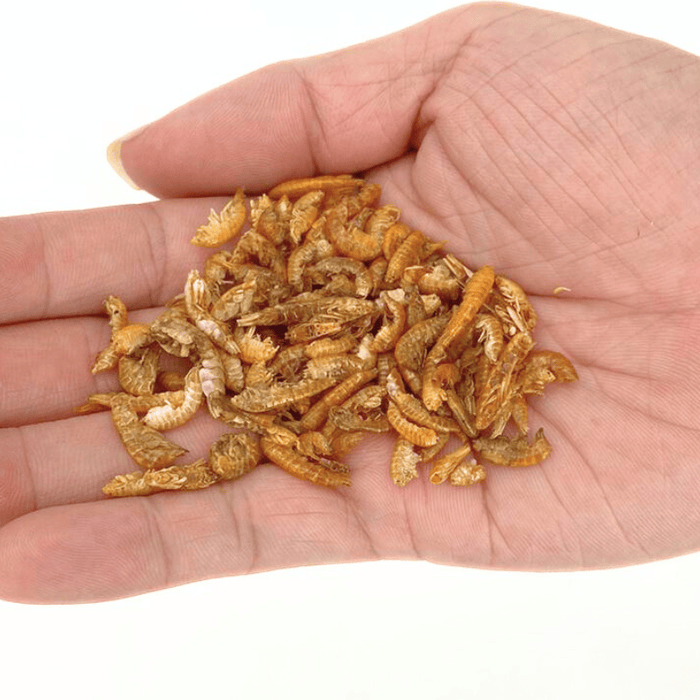 Nature Grains! Gammarus (550/2600ml)