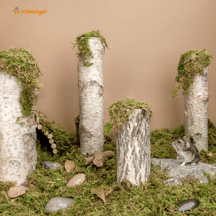 Niteangel Forest Moss Bedding Nest