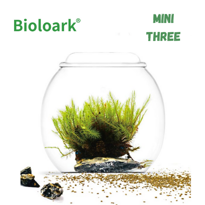 BIOLOARK Mini Bubble Cup Series (One/ Three Cup) - (Landscape Creation)