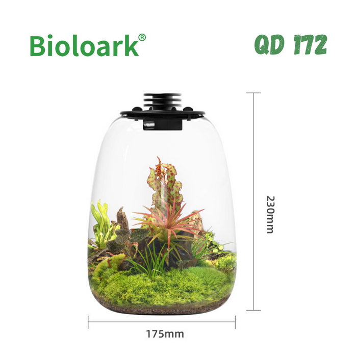 BIOLOARK - Bio Bottle Terrarium (QD-172/ QD-205) - Decoration Plant