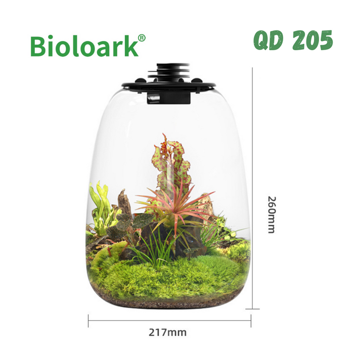 BIOLOARK - Bio Bottle Terrarium (QD-172/ QD-205) - Decoration Plant
