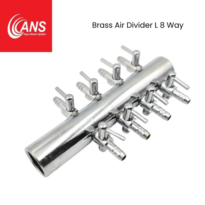 ANS Brass Air Divider (M/L)