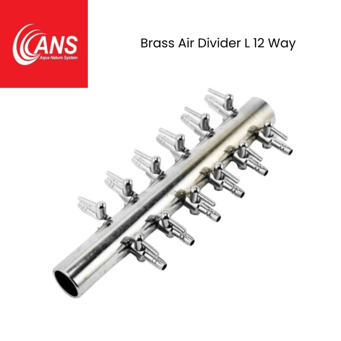ANS Brass Air Divider (M/L)
