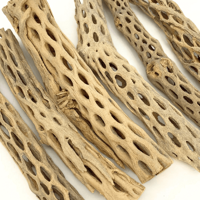 ANS Cholla Wood S/M (shrimp wood)