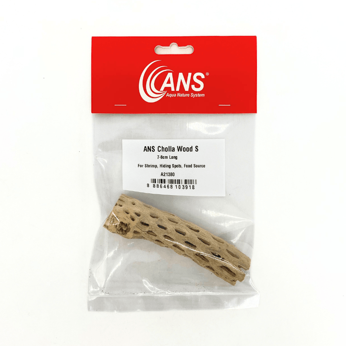 ANS Cholla Wood S/M (shrimp wood)