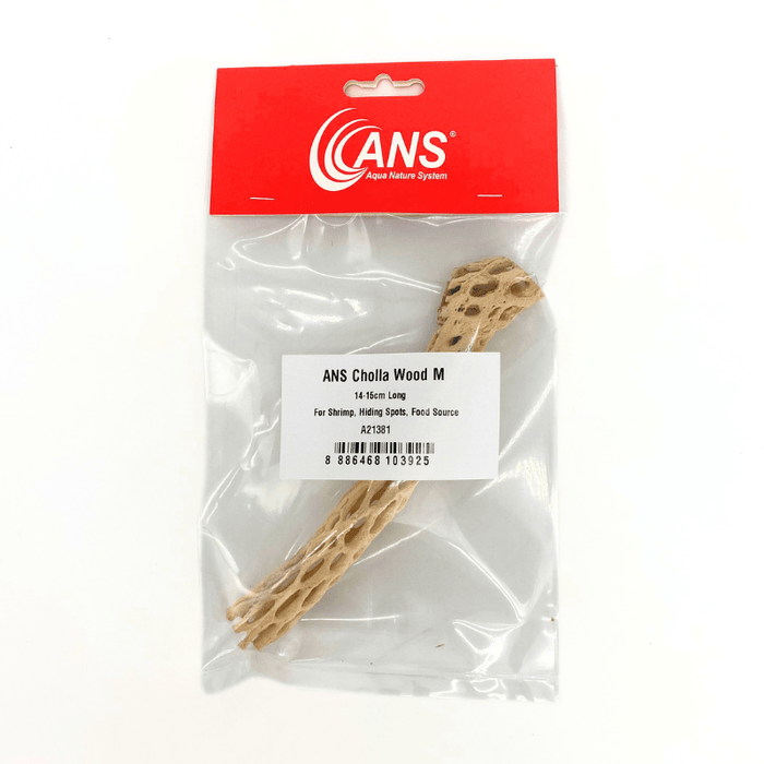 ANS Cholla Wood S/M (shrimp wood)