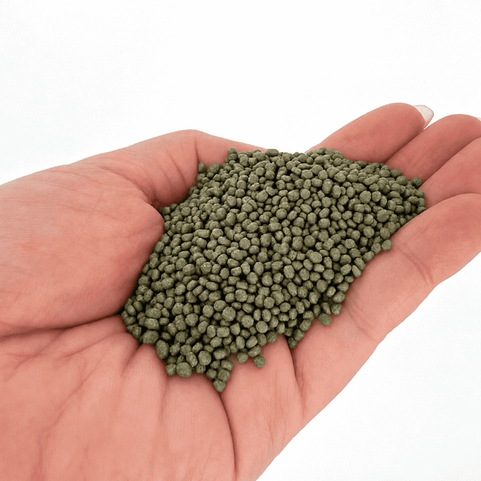 ANS Fish Feed (GREEN) Small/Medium 1000g
