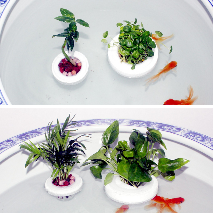 ANS Floating Planter (XS/S/M/L)