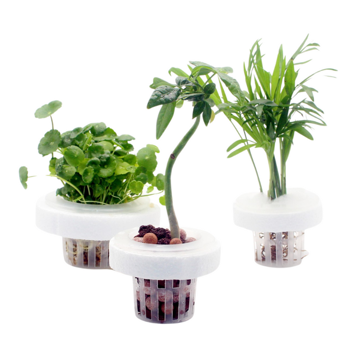 ANS Floating Planter (XS/S/M/L)