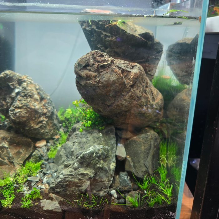 ANS Turly Rocks (5 - 40cm) per kg