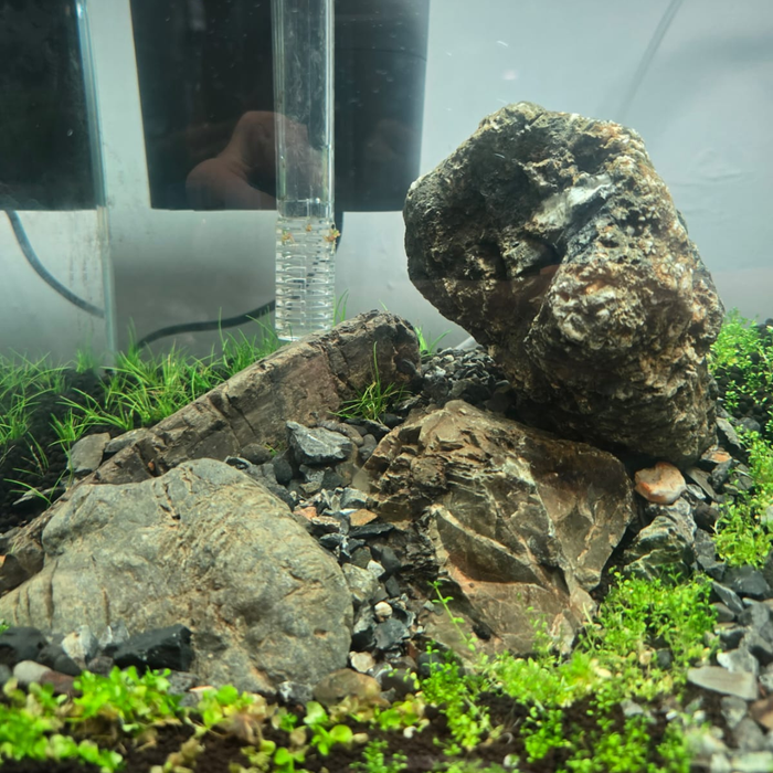 ANS Turly Rocks (5 - 40cm) per kg