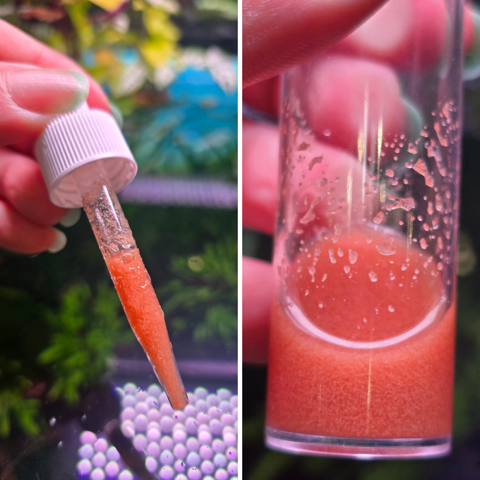 ANS Instant Feed Baby Artemia 50ml