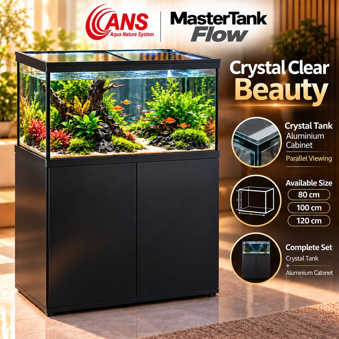 ANS Mastertank Flow 60 Aquarium Tank (BLACK/WHITE)