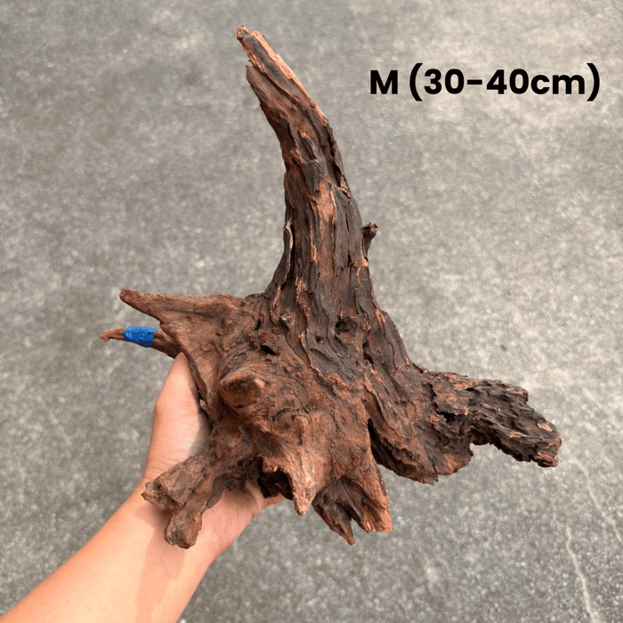ANS Old Black Driftwood (Various size)