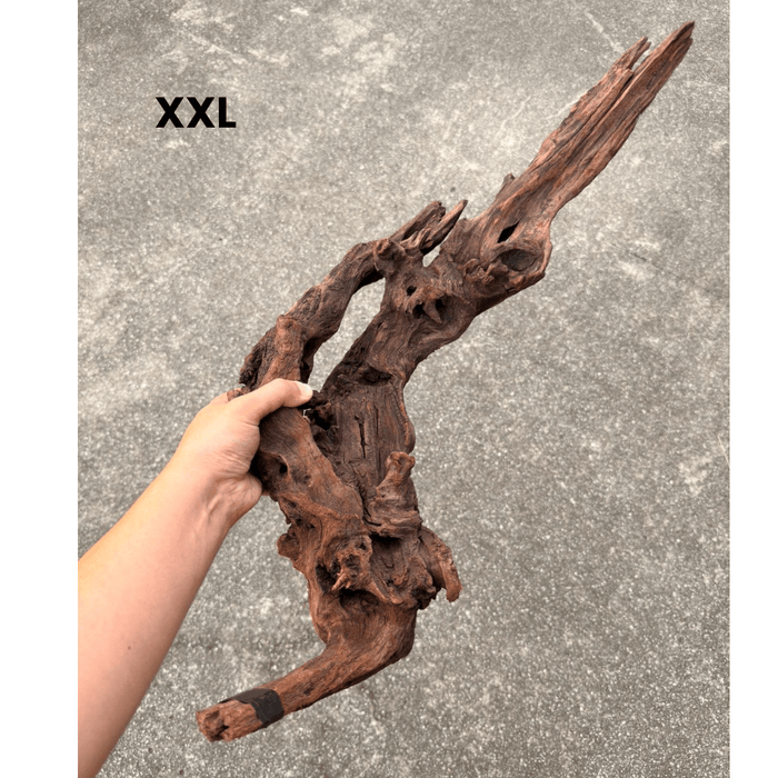 ANS Old Black Driftwood (Various size)