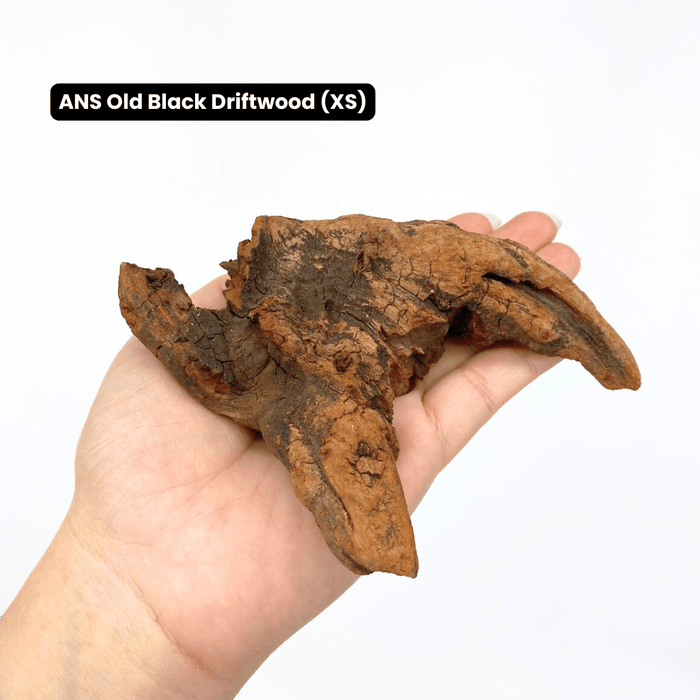 ANS Old Black Driftwood (Various size)