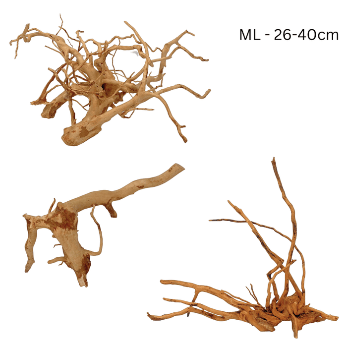 ANS Spider Wood Deco (Various size)