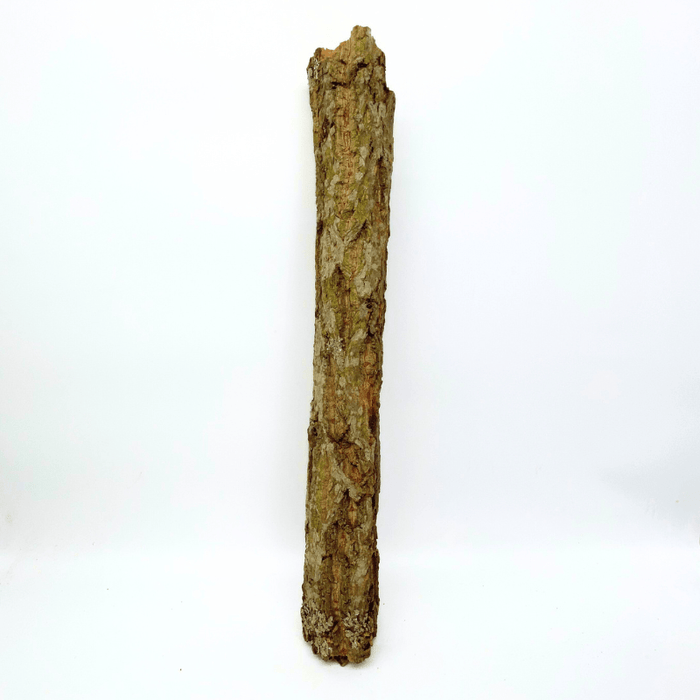 ANS Terra Bark "Cone" (1kg pack)