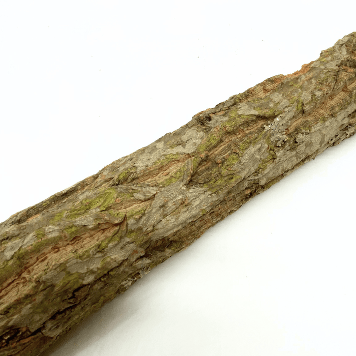 ANS Terra Bark "Cone" (1kg pack)