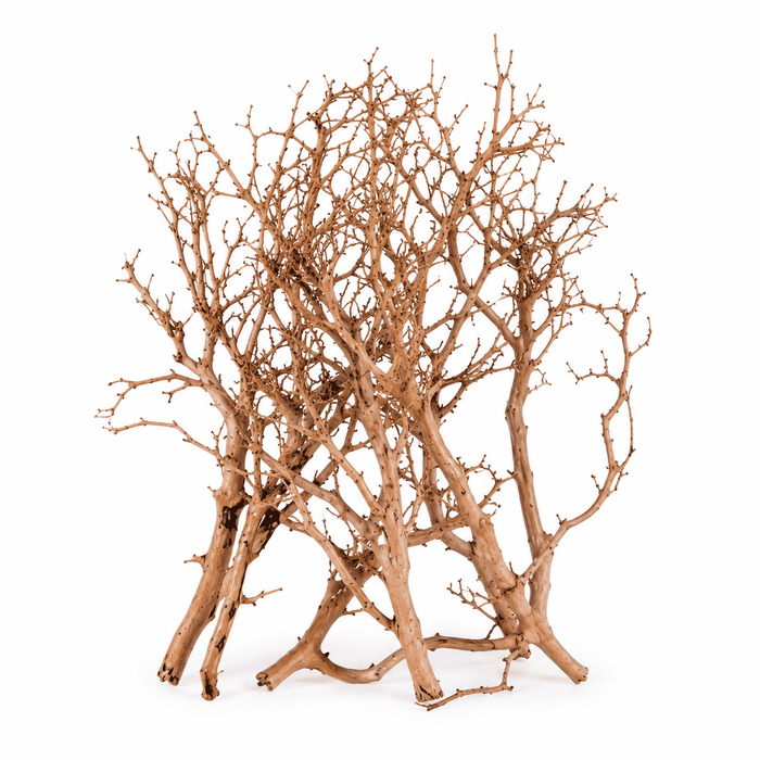 ANS Thailand Branch Driftwood Pack
