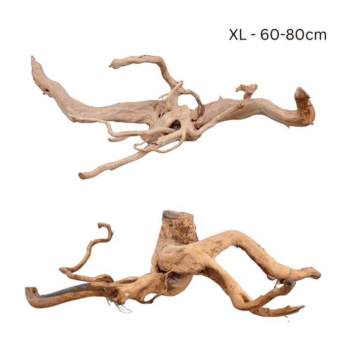 ANS Spider Wood Deco (Various size)