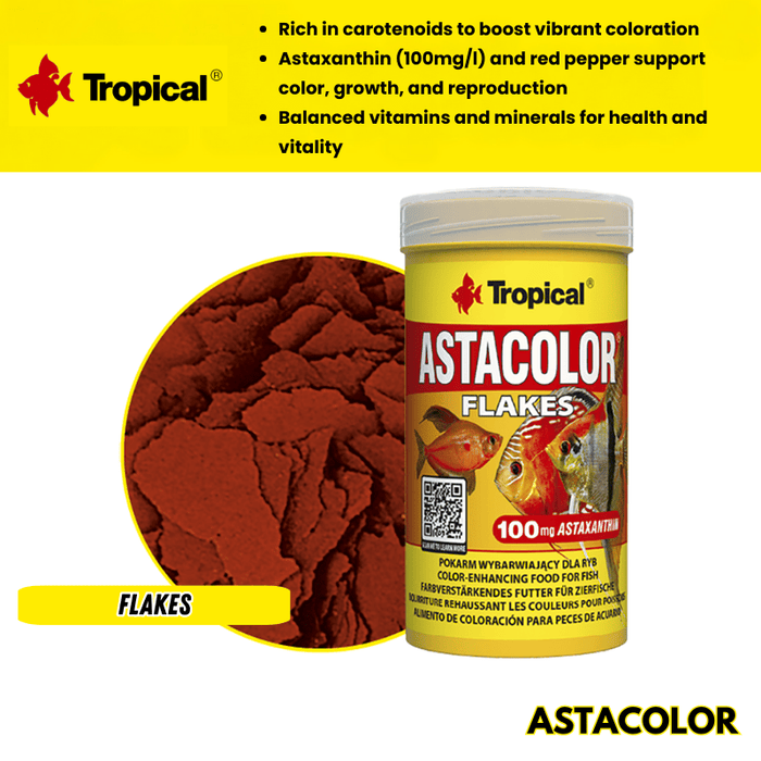 Tropical Astacolor (high astaxanthin feed)